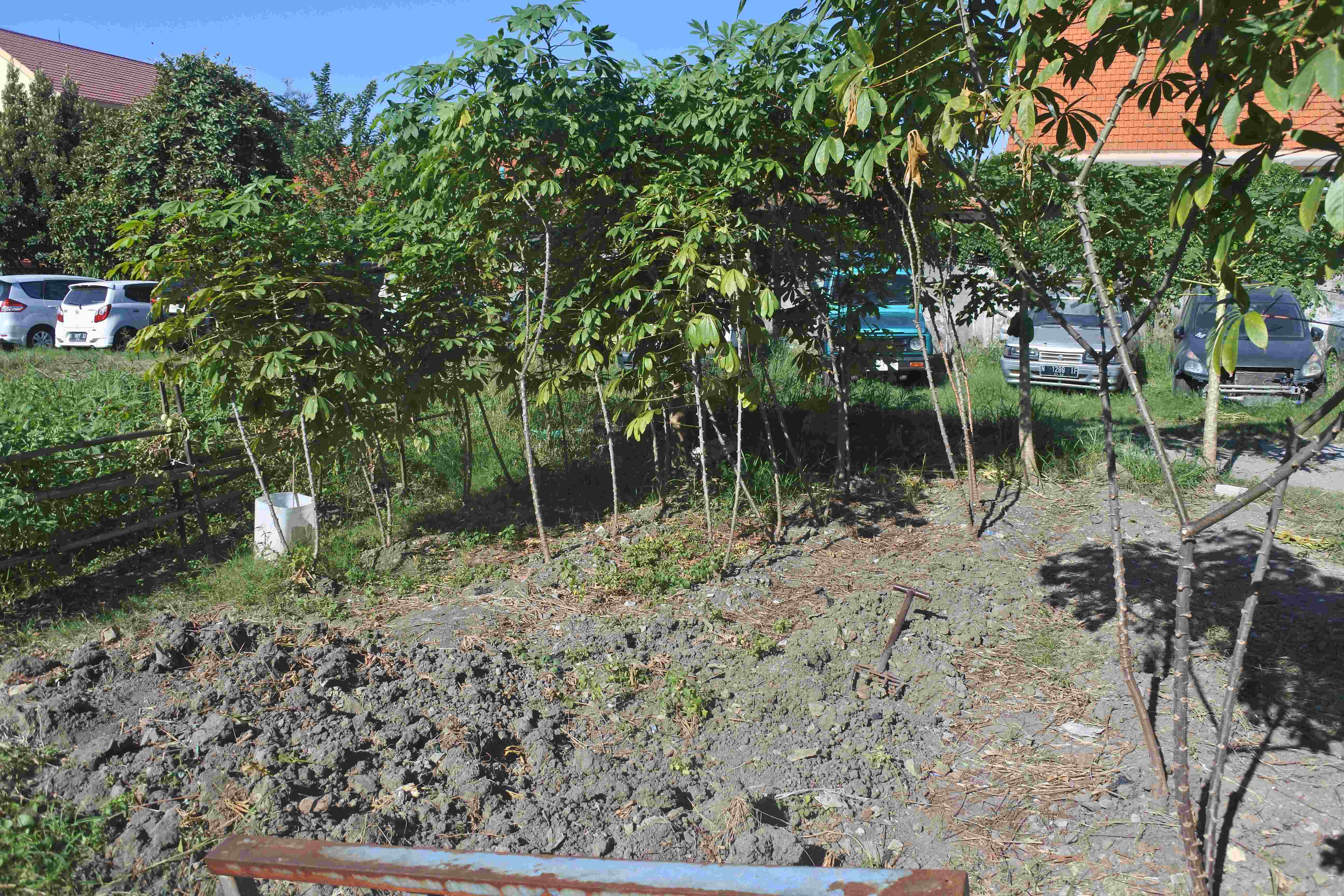 Asal Usul Pemanfaatan Lahan